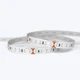 A coiled ColorBright™ Vivid Single-Color IP20 LED Strip showing the high-density circuit board and 3M adhesive backing.