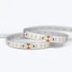 A coiled Outdoor Vital™ 300 White IP65 LED Strip showing the silicon-coated circuit board and 3M adhesive backing.