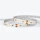 A coiled UltraBright™ Architectural IP20 LED Strip showing the high-density circuit board and 3M adhesive backing.