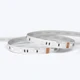 A coiled ColorBright™ RGB 300 IP20 LED Strip showing the high-quality circuit board and 3M adhesive backing.