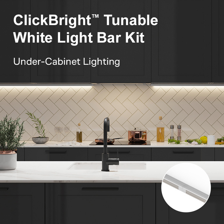 Flexfire LEDs ClickBright Dynamic Plug n Play Kit