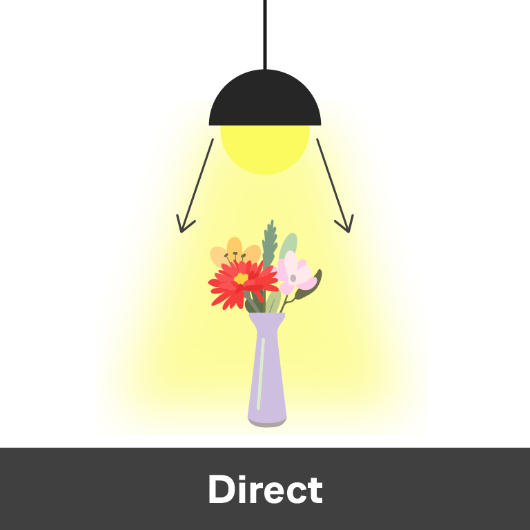 LED direct lighting