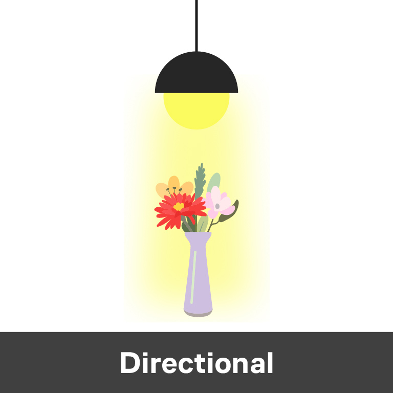 Directional LED lighting