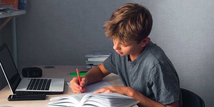 Adolescente Studying and Doing Homework
