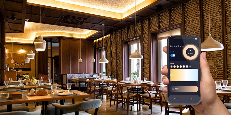 Leona Dimmer Driver For Restaurants and Hotels