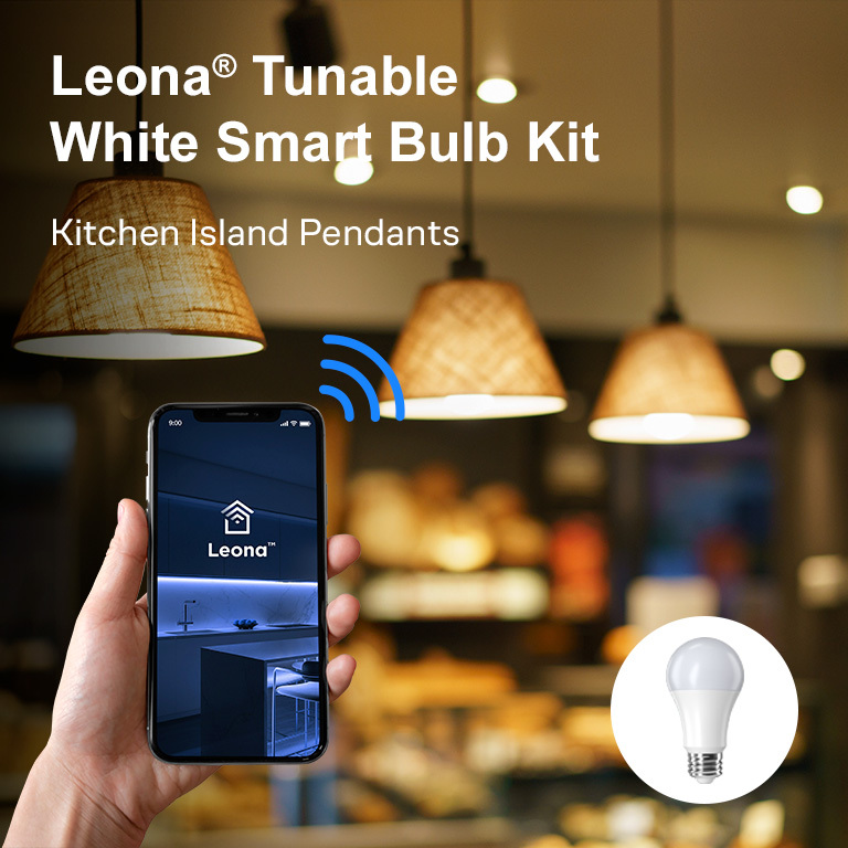 Flexfire LEDs Leona White Smart Bulb Kit