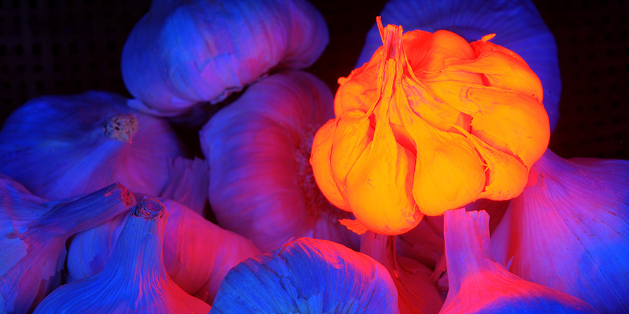 Ultraviolet kitchen lighting