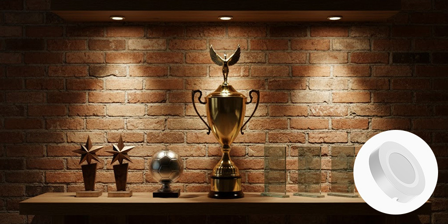 Trophy shelf highlighted by warm Victory LED puck lights on brick wall.