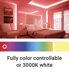 RGBW color changing + 3000K white LED strip