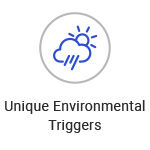 Smart Lighting app with environmental triggers