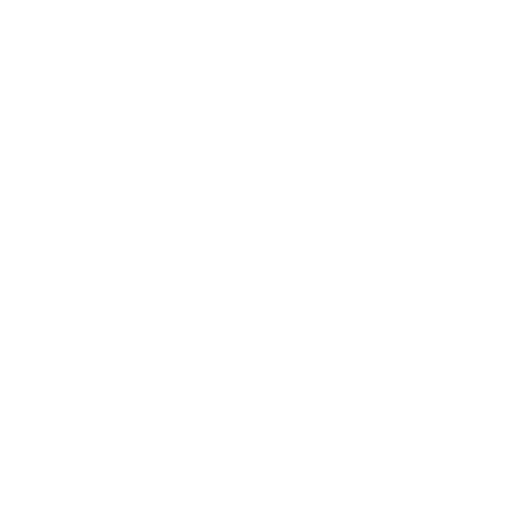 Leona Smart Home System logo
