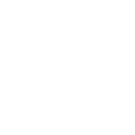 Leona Smart Home System logo