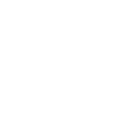 Leona Smart Home System logo