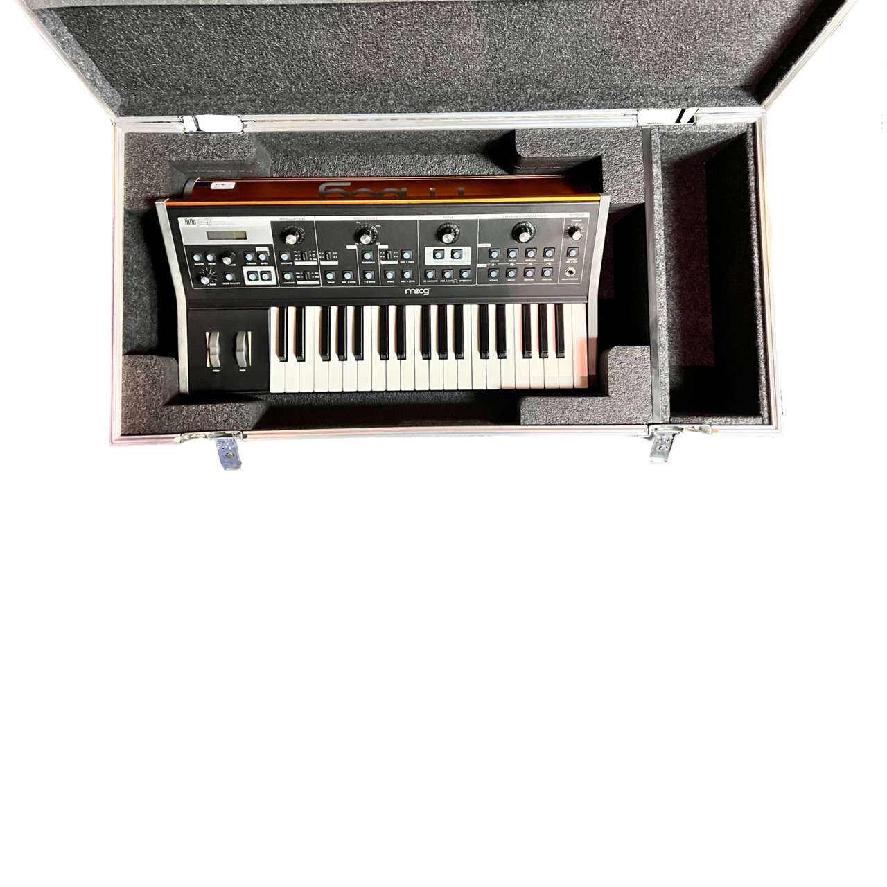 Moog Little Fatty/ Sub 37 case
