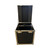 Custom ATA Shipping Case for professional equipment — closed and latched