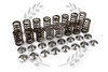 Brian Crower SR20DET Valve Single Spring & Titanium Retainer Kit
