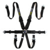 Pro 6-point FHR Lightweight Harness
