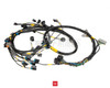 RyWire Harness Link ECU