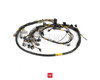 RyWire Harness Link ECU