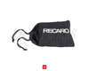 Recaro Picnic Bag Set and Seat Cushion