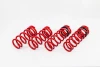 SWIFT Nissan GTR (2015+) Sport Springs