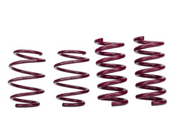 Vogtland Sport Plus Lowering Spring Kit - 2015+ S550 Ford Mustang (w/o MagneRide)