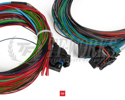 MaxxECU - V1/RACE/PRO flying lead wiring harness connector 1