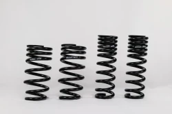 SWIFT Lexus GS F (2016–2020) Spec-R Lowering Springs