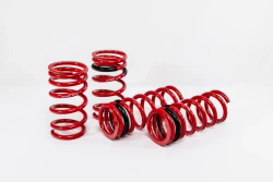 SWIFT Lexus IS F (2008-2011) Sport Springs