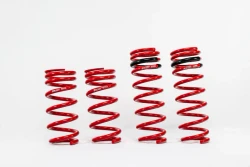 SWIFT Nissan GTR (2015+) Sport Springs