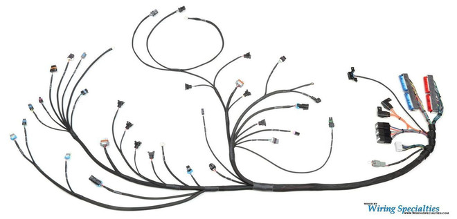 Wiring Specialties - LS1 / VORTEC SWAP WIRING HARNESS FOR S13/S14 240SX - PRO SERIES