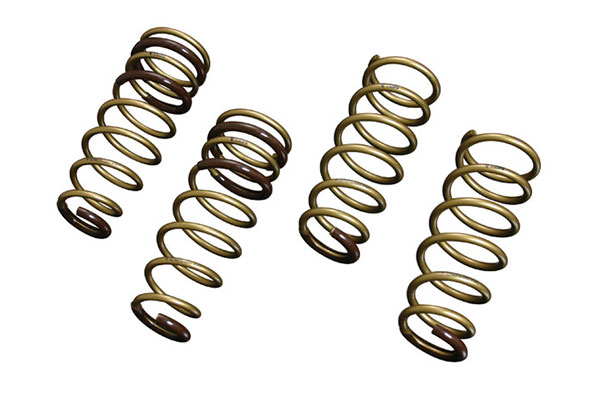 Tein High Tech Lowering Spring - 00-09 Honda S2000 AP1/AP2