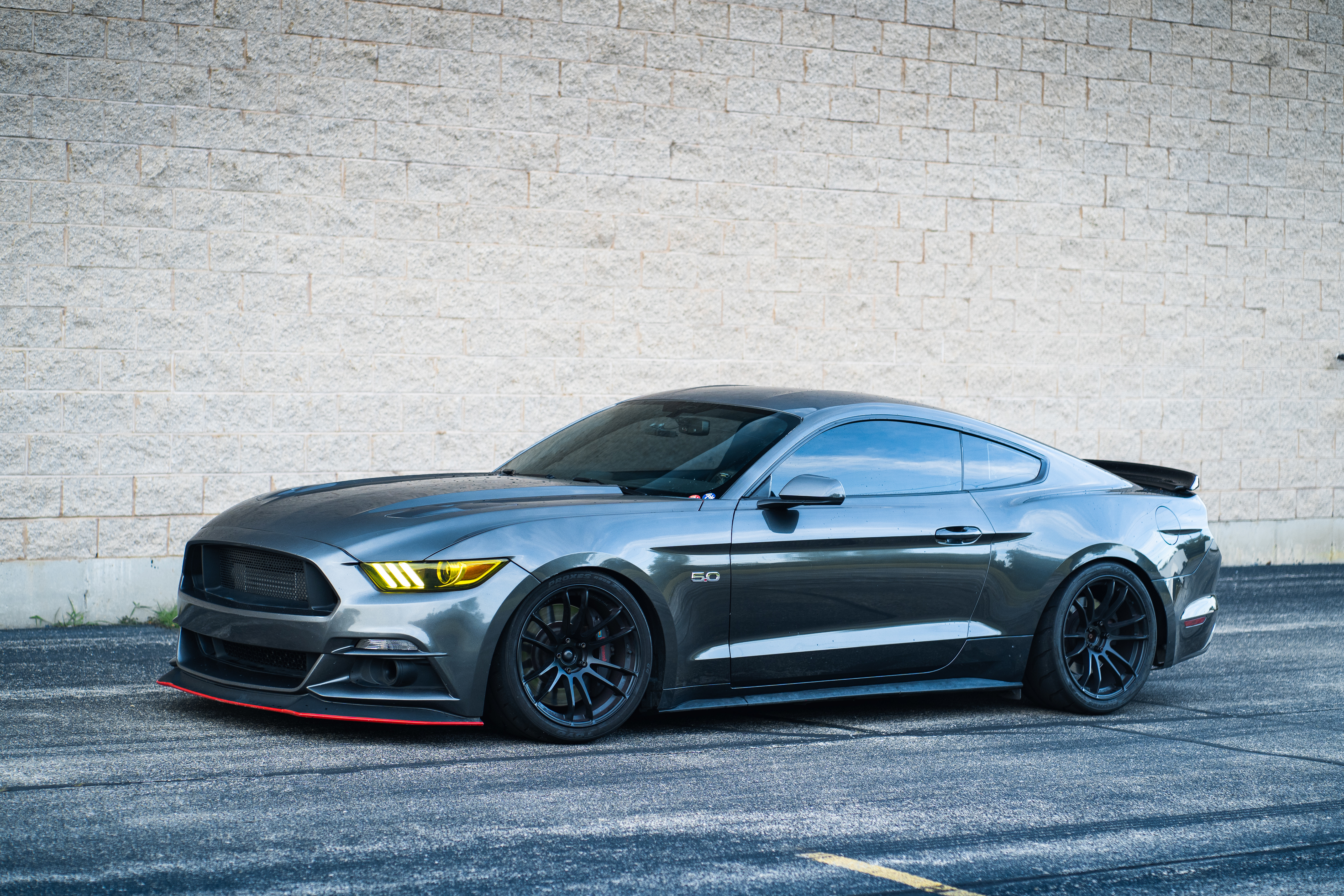 TF Mustang