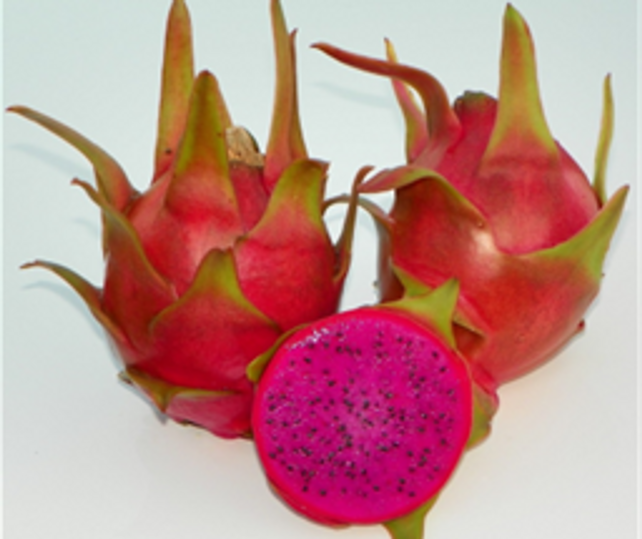 Aight I did it. Dragon fruit