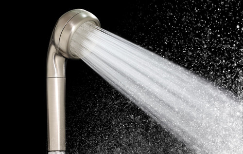 Micro bubble shower head in brushed nickel - ReliqPet