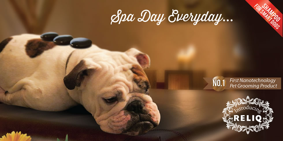 spa shampoo for dogs