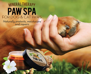 paw spa