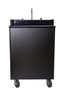  Black Cabinet with back view