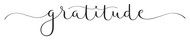 Want to Bring More Gratitude to Your Daily Life? Here’s the Secret(s)