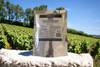Red Grape Juice Concentrate 500ml Handcraft Supplies for wine making
