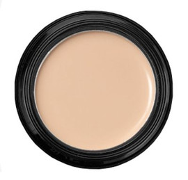 Real Purity Disguise System Concealer