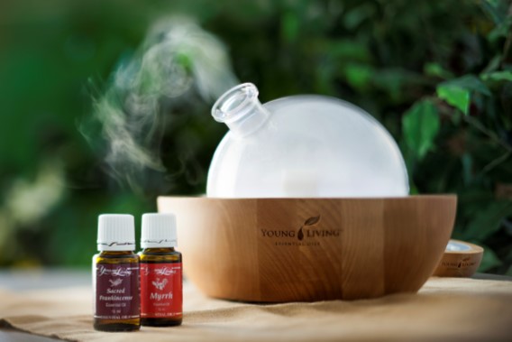 What is Thieves essential oil?