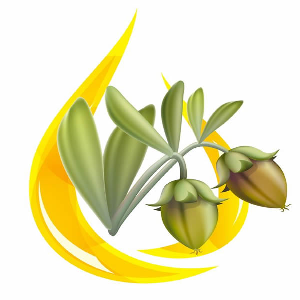 Why your skin needs this oil!