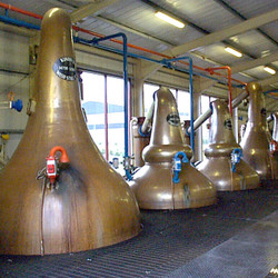 Kininvie Distillery