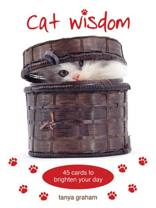 Cat Wisdom cards Cat Wisdom cards