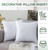 Hotel Cushions