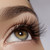 Lash Therapy