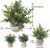 Mini Potted Artificial Plants Mini Potted Artificial Plants