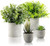 Potted Artificial Plants