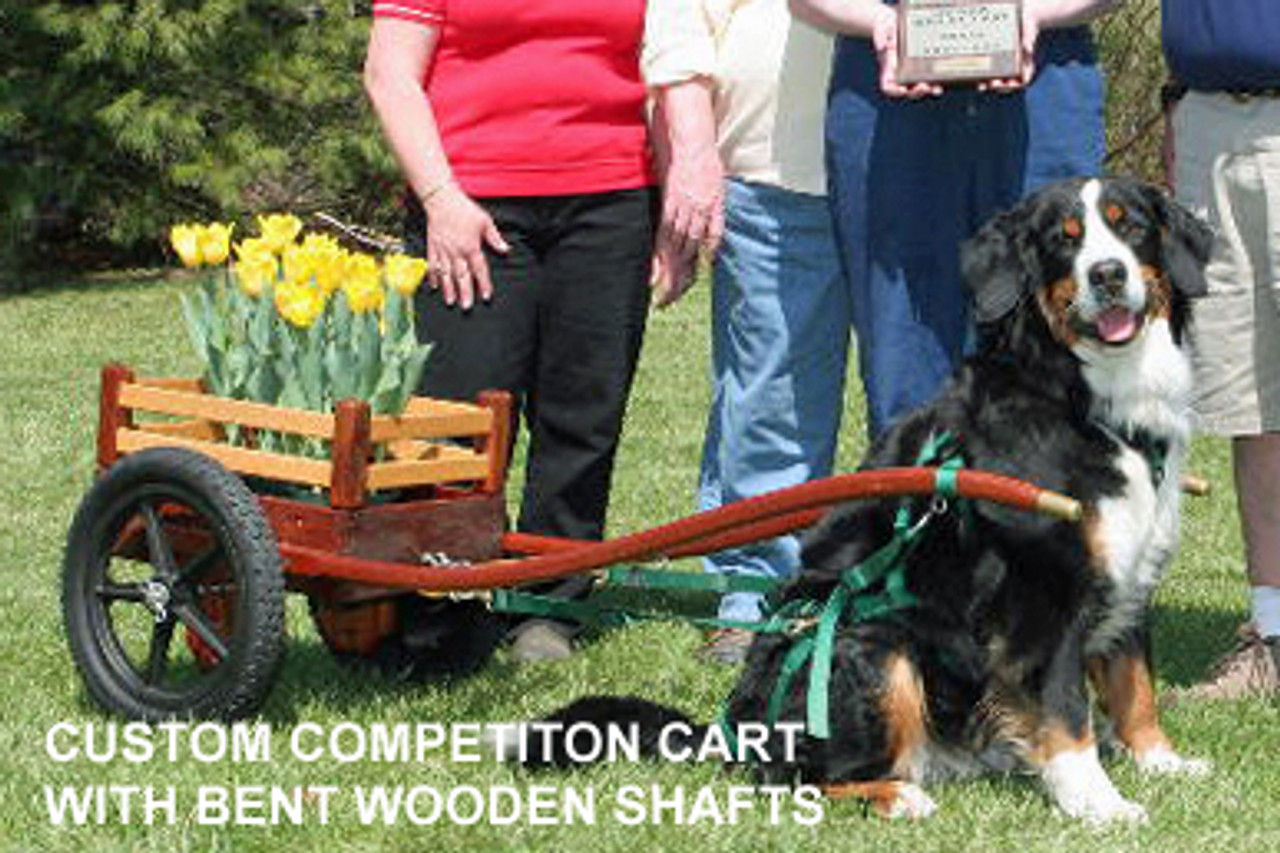 Small Custom Dog Cart